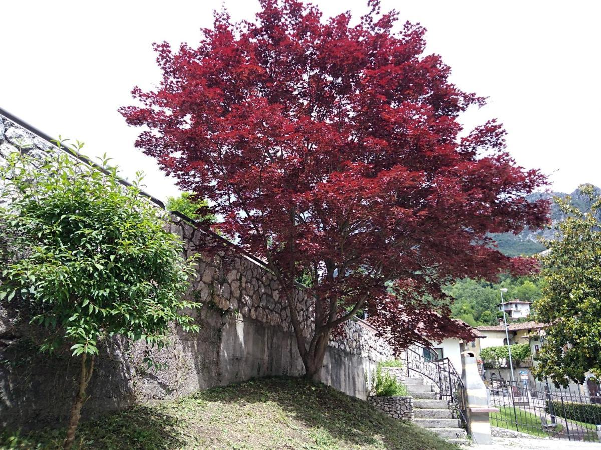 B&B L'Acero Casto ภายนอก รูปภาพ